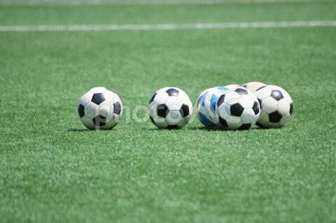 F95f1ab6bca1b34e7e65e949ea305928