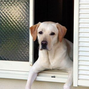 731a88d560e333d6df9520e492af3236