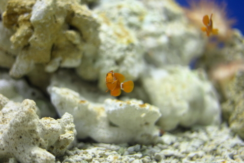 59fe7bdc6cb0c3d99b18d7a295e67237