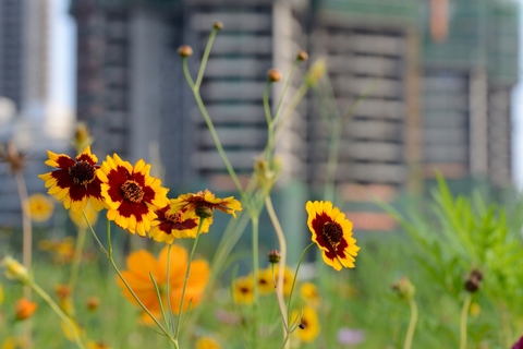 2deb2cdfad0aa50f52b556ac61cd7880