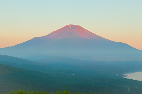 40d03d67328bf2aed137f62fc333bbfa