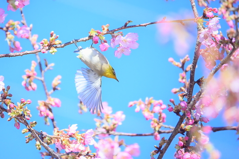 1bbf1f025acb31c06cfed5621e544b34