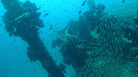 37a29bfa2b95f43e034a2cb7a5cc4854