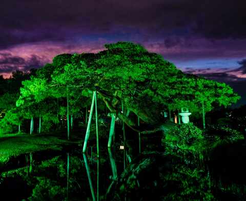 D038057a9d1efcacd71c90782e8ac44d