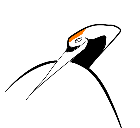 4012927b888024e50b387dbaa563cee9