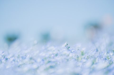 3802f808d8deec187799e2f7c7ee86cd