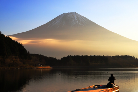 C7bc8031a673429e1a973f5d57810634