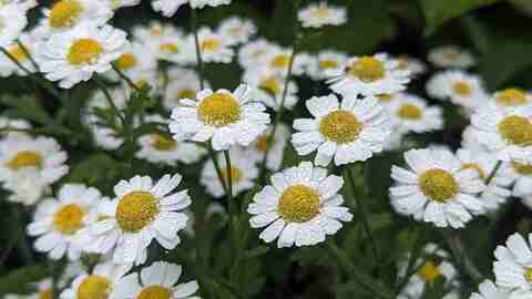 E74611e3ceb6e0de9b1eed1dff42d063