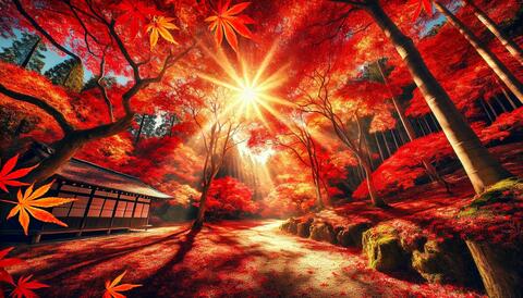 Af855eb042c9c317c05a074a363b6296