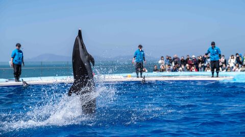 6be9f5daf57fae4fb919e5f5af9e9de3