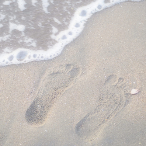 Fda9327e5d25f48f42444395c2e93380