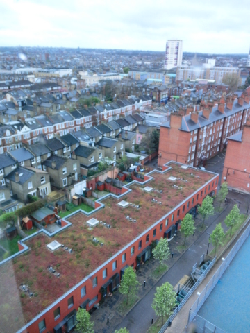 73d236ca9dc48423f25cb7b19c3447b9