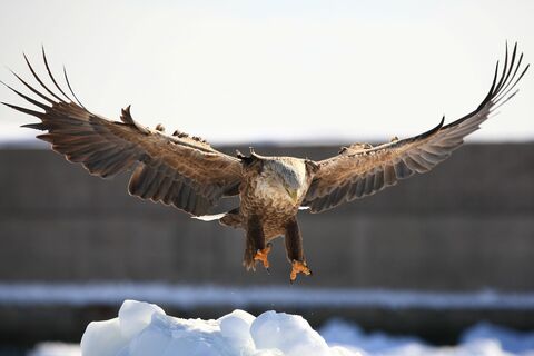 45447ea74223cbf0399b4669207709de