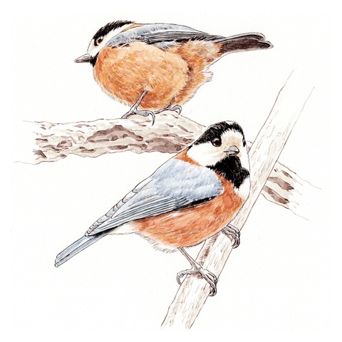 9be624868a987eb361cb959c770b42d4