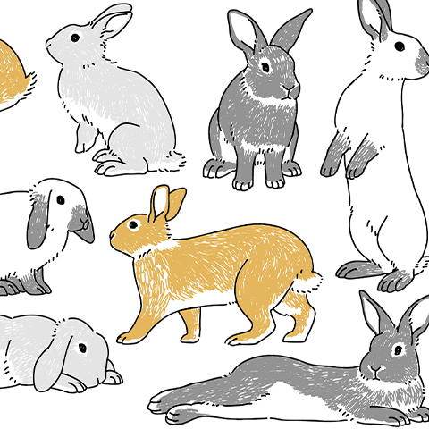 Dd2d73686076ba642f22a2679a691a3a