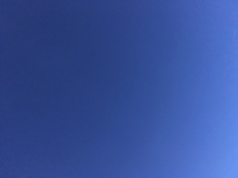 35700809335d9eef1e371d9110629caf