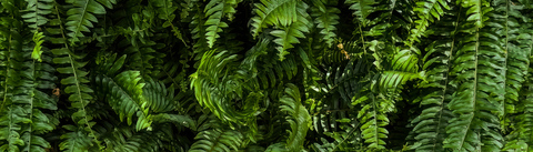 34e551127c25e8e4f60ea32d42f578ca