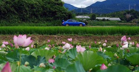 C0b0004a1c711941be2933cb103553d1