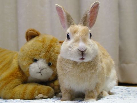 52fc9e084df7c0f295cbe9d40df550b3