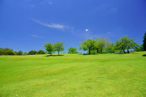 Dbc77d69c6f0b36eaaa042f6824e3596