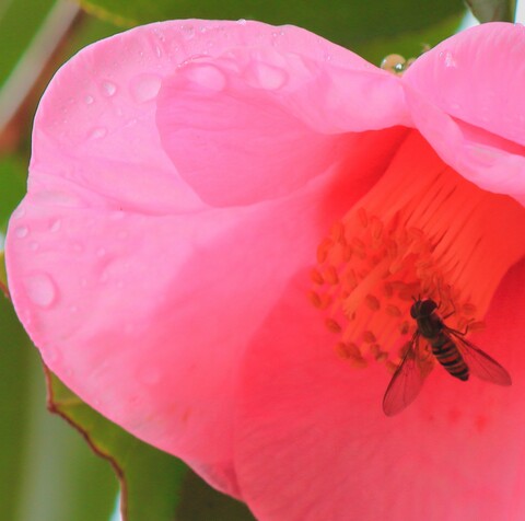 7bfeef1a912b148b9c7ad4495d59f886