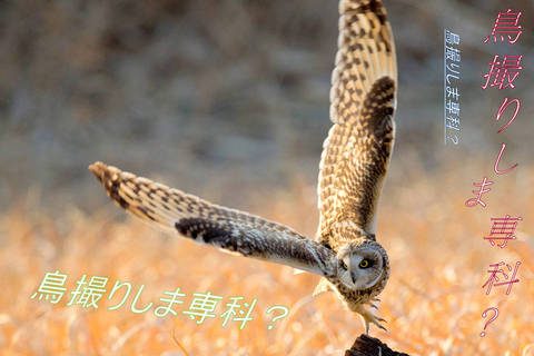 940116b98b4953154bc7377ba5dd9318