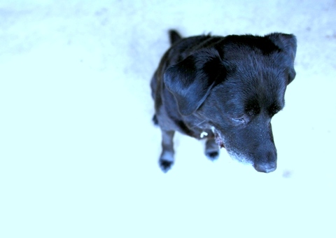 050e8d568440bd8dc07babdd24730230