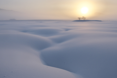 Dcad520fbde616385aeead81fff8853f