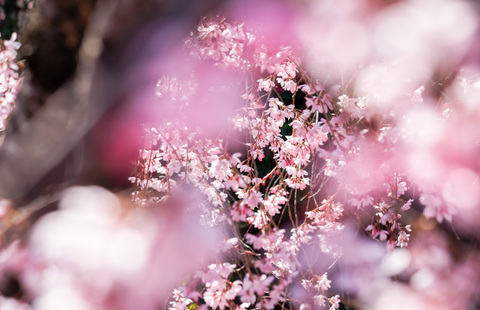 A07683096eb01fd48426277b967b6d20