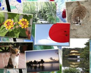 84d8a51ed927520fea28d75f54fcb240