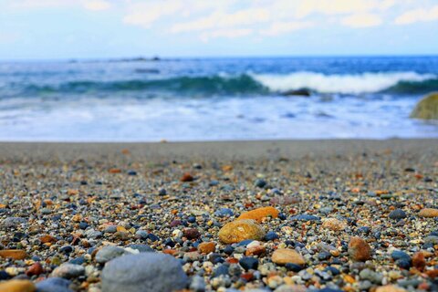 B2200a08098fe805ae7022d9d6032de8