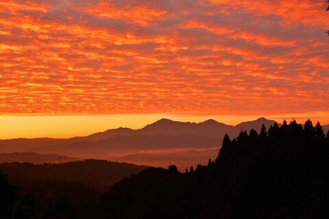 F7e47611a031a0e70ec20b25b3a36cbe