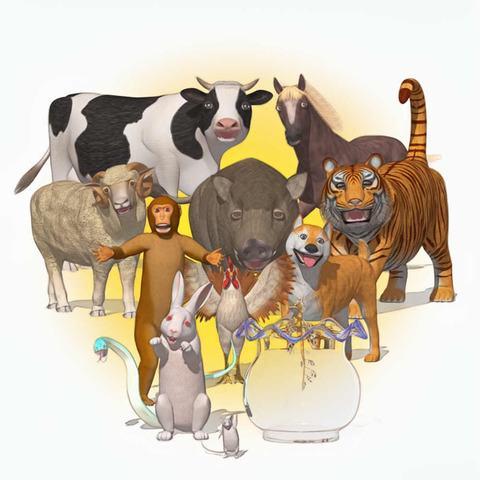 D71570a5a4845e47a1dae66e496acd1d