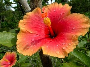 Ea8d295e5a814ff0f1c47d7c3e9bb172