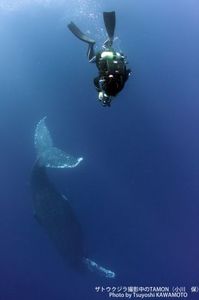 Fd6996811d53914cd4bb89ab06977d9f