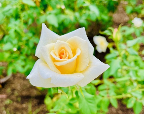 5f604b148c0976c7ff21c4ab4f63c176