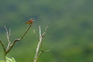 C2374cfcd6a0869007068eae122246d3