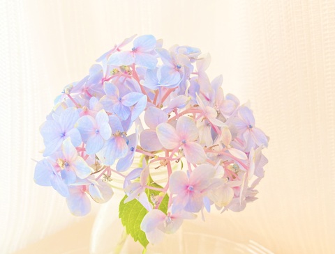 F7dc28228859dc5faed15174825d64d5