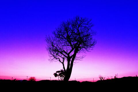 75cdcc058eddfcc750154ea0caa87b87