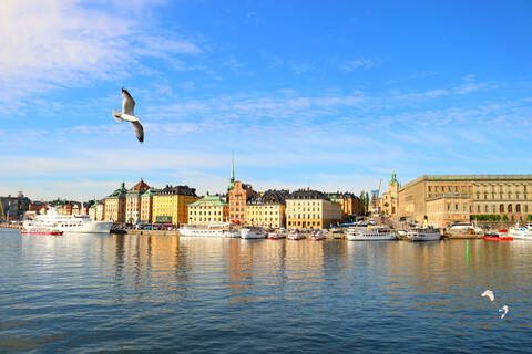 D39c2f51d4da6a74f5007610ee280d41