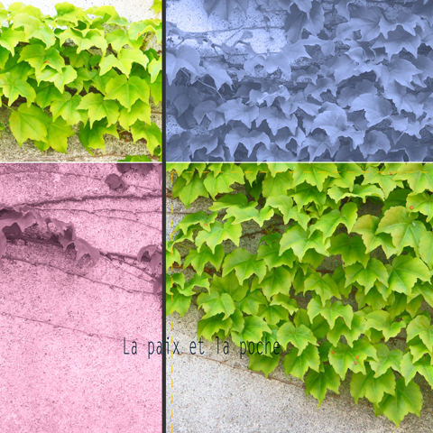 E1e063d989d6faf6fc1f1c0db9dd60a0