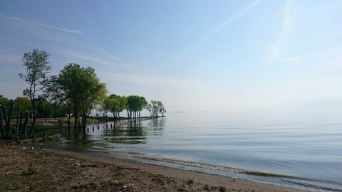 D025f0a0166e0d78ccfb3fa39606848c