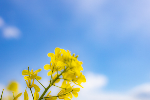 29b8ec2045f7f9383c2f1920387e43bd