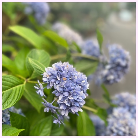 9c8420e0d51e73cf10cd327fdd3b356d