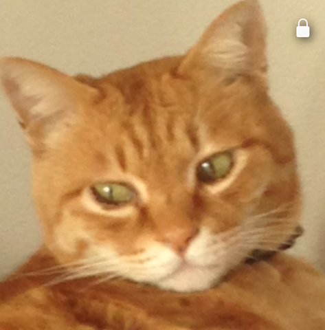 E86c88595e3f03a468e1674fb6779925