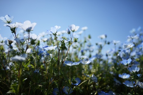 9e2dc70a6e11d75c6d26f2540087670d