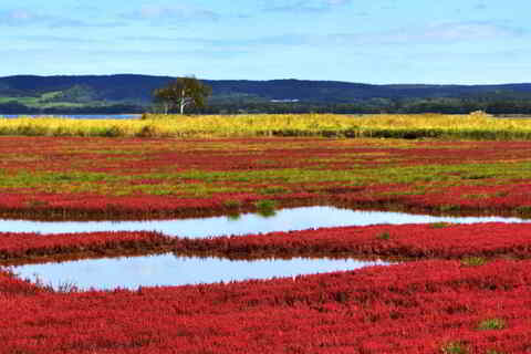 901e4cbe3db1ae3ceaba18c44031d301