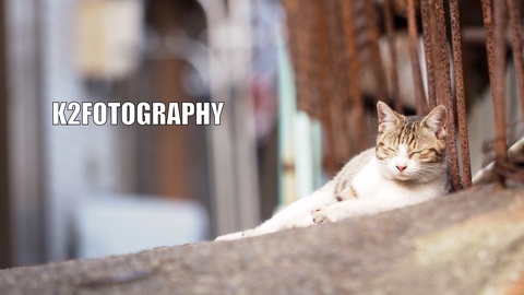 48216b12615378d5cb7d620ffeabcdcc