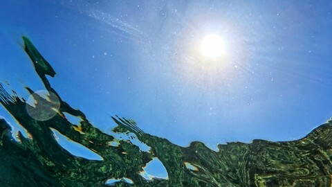 2e63f335a8b0a5aa75cc7d5af7c45795