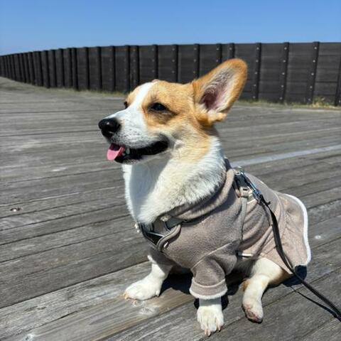 9dff8c7446edacc718d63134ff7ebdbf